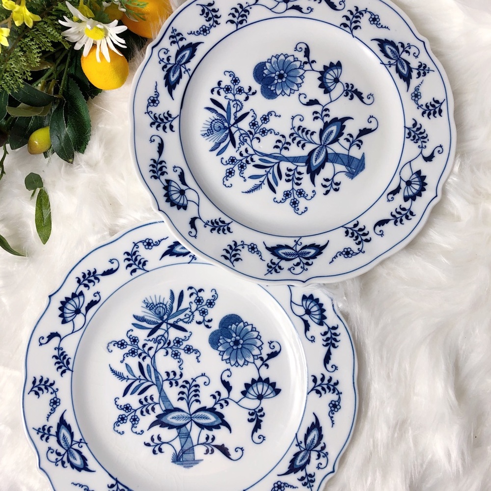 Two Vintage Blue Danube - Blue Onion Dinner Plates